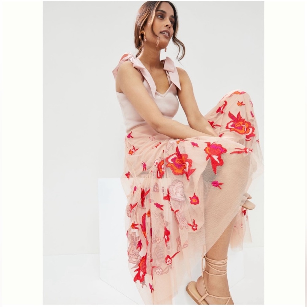 Anthropologie Maeve tulle skirt with floral embroidery